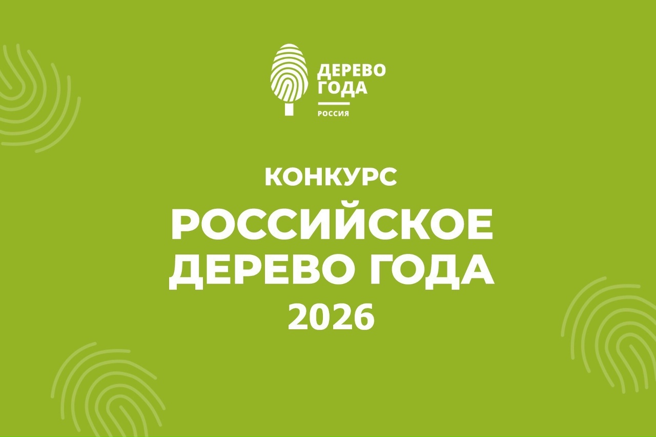 В России стартовал конкурс «Российское дерево года — 2026»